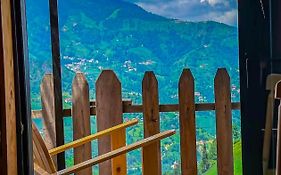 Golden Paws Guesthouse